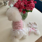 Ballet Top