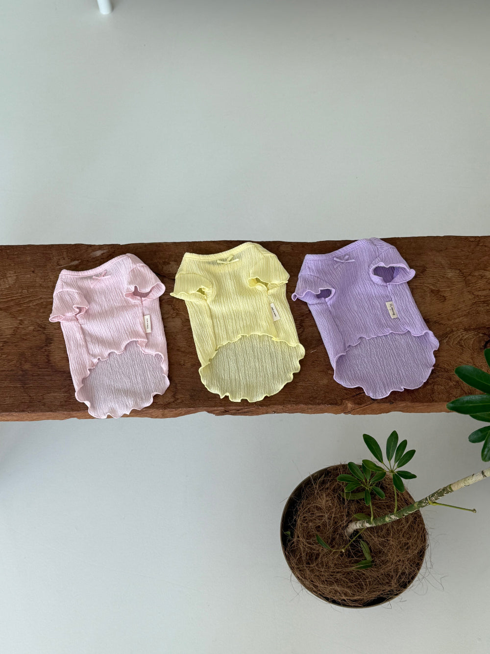 Candy Ruffle Shirt