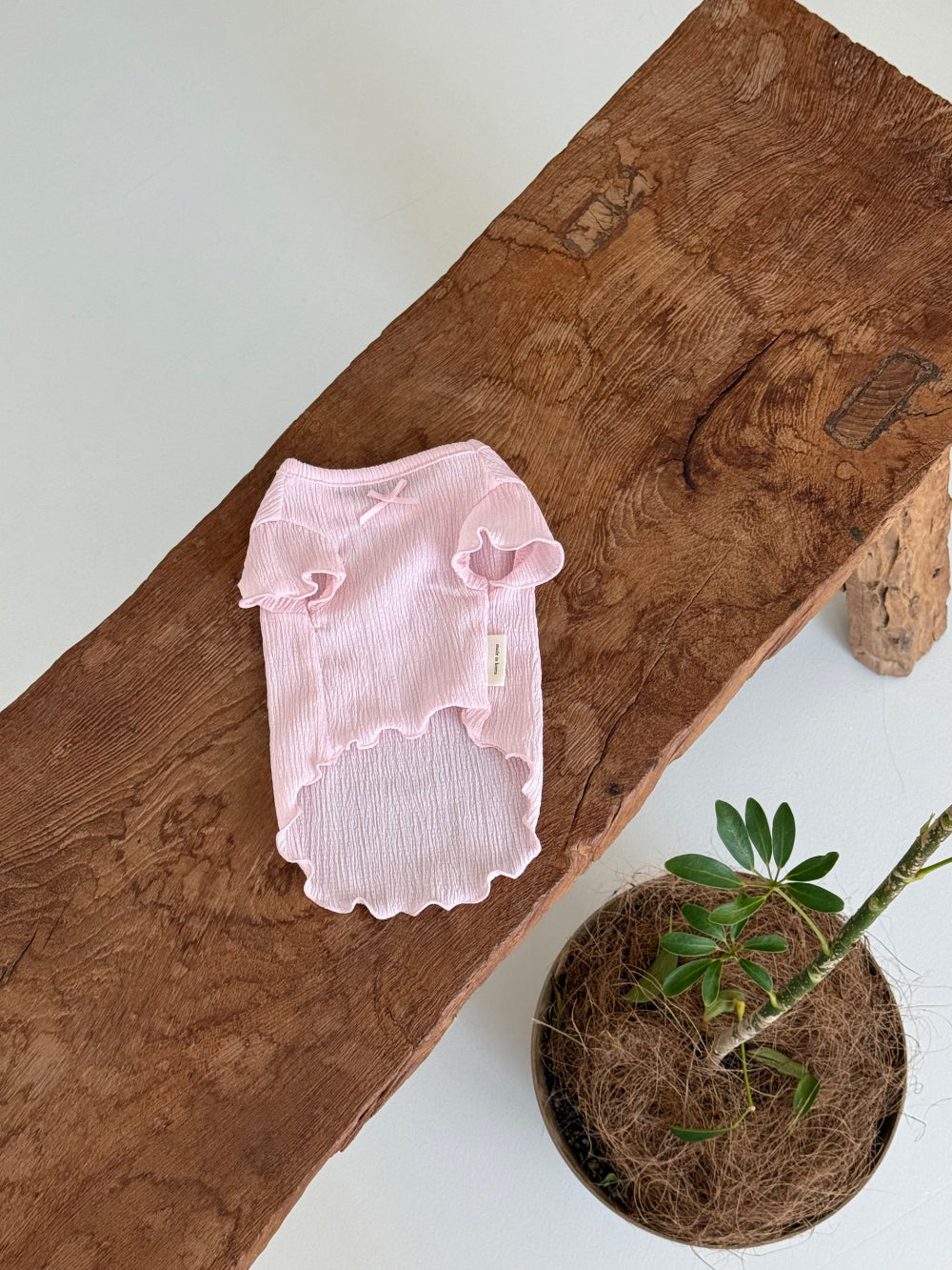 Candy Ruffle Shirt