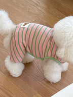 Pony Onesie