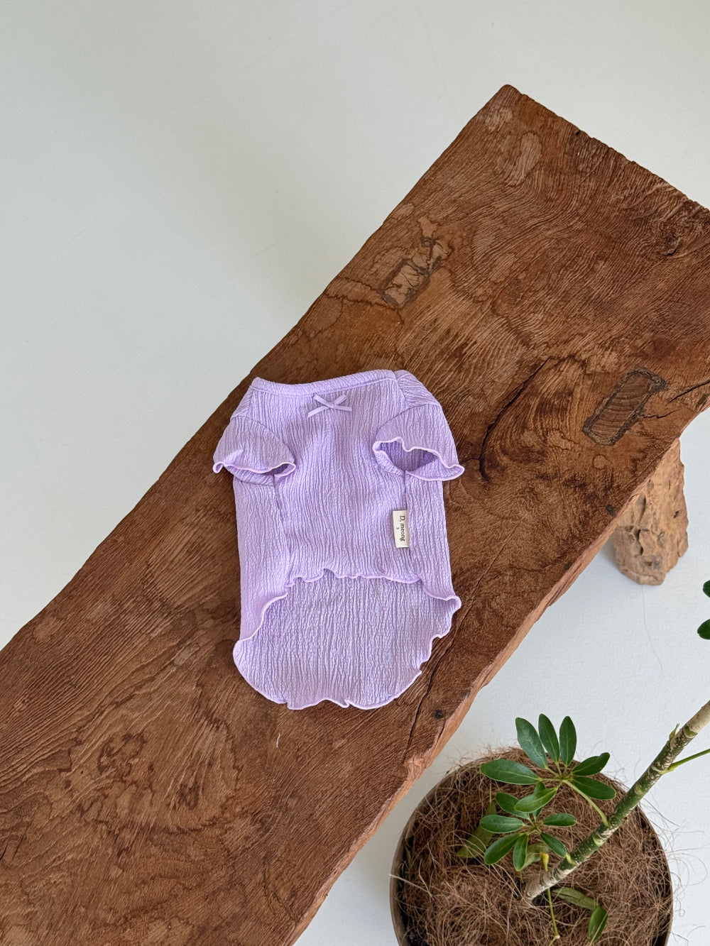 Candy Ruffle Shirt