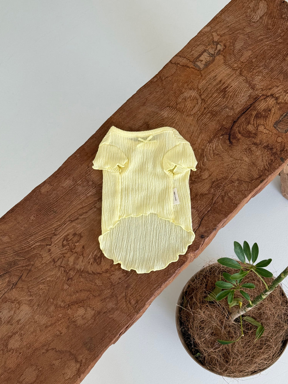Candy Ruffle Shirt